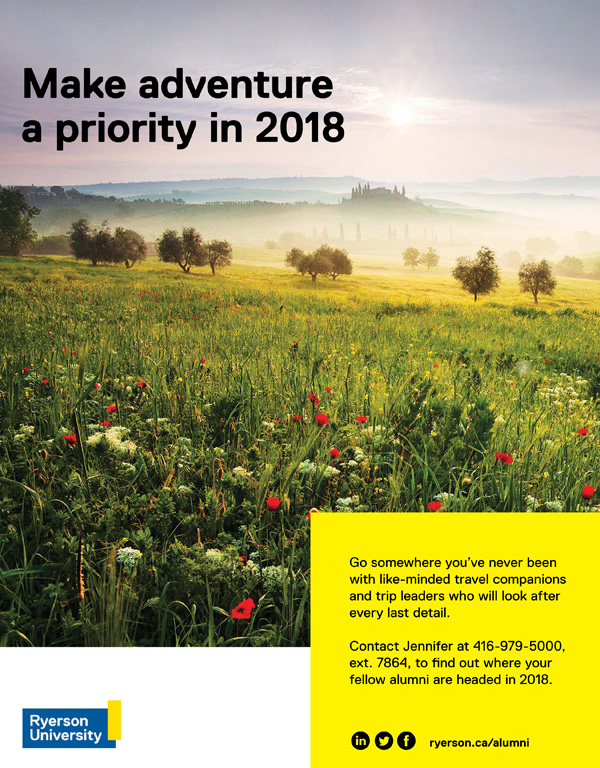 Landscape image of field and trees
