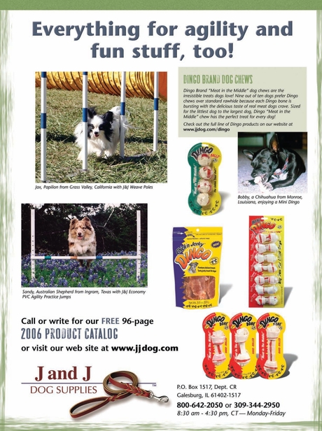 clean run dog supplies