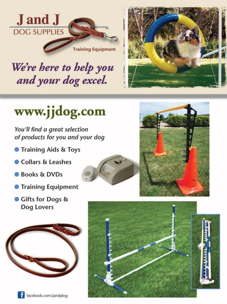 clean run dog supplies