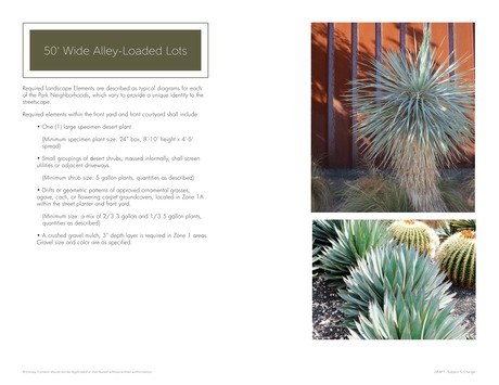 Landscape Guidelines 2022 - 18