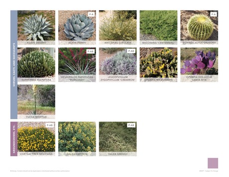 Landscape Guidelines 2022 - 31