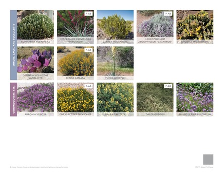Landscape Guidelines 2022 - 33