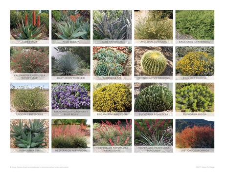 Landscape Guidelines 2022 - 55