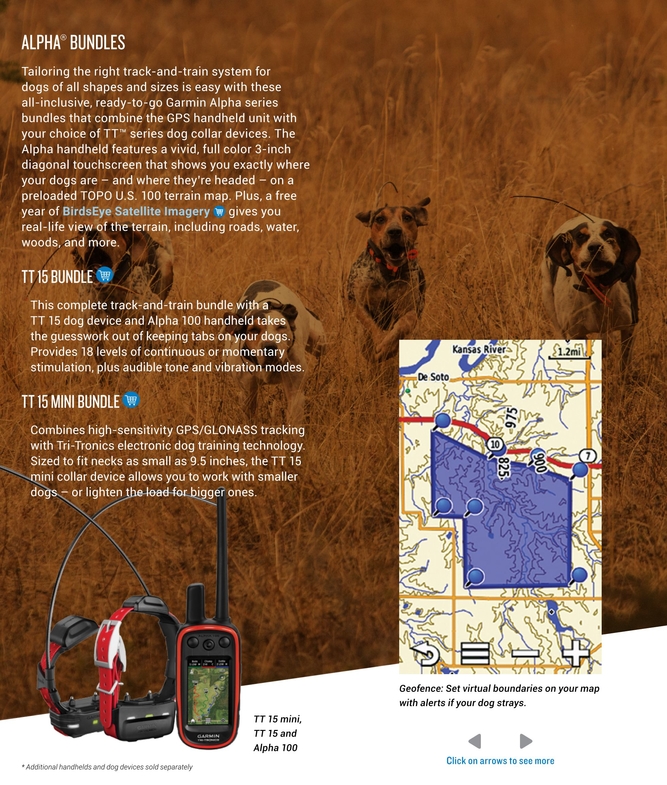 garmin alpha mini bundle