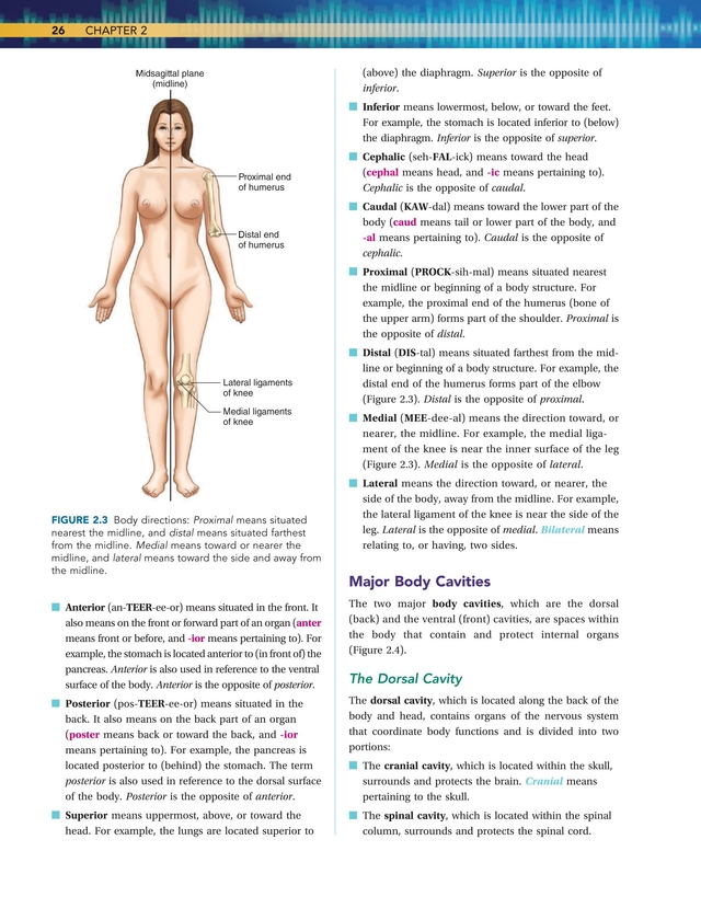Medical Terminology For Health Professions 8e 26