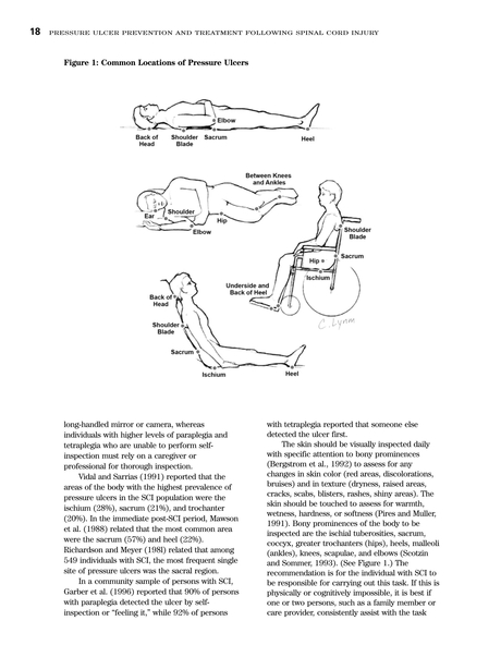 Pressure Ulcer Prevention and Treatment Following Spinal Cord Injury - 18